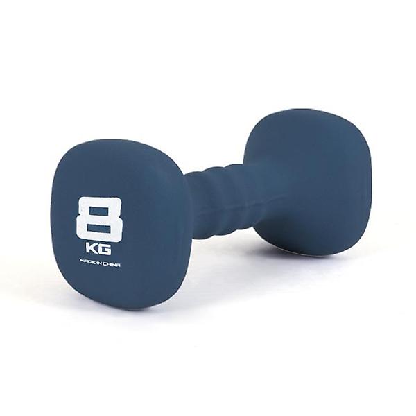  네오프렌 사각아령 8KG 근력운동 덤벨 헬스 바벨