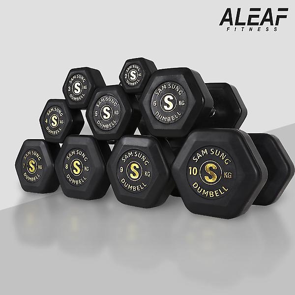  아리프 국산 헥사곤 육각아령 12.5kg 덤벨 헬스 홈트