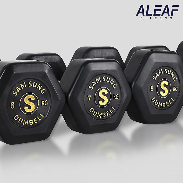  아리프 국산 헥사곤 육각아령 12.5kg 덤벨 헬스 홈트