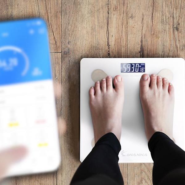  아이워너 스마트 인바디 체지방 체중계 KS-BF4000 디지털 강아지 저울