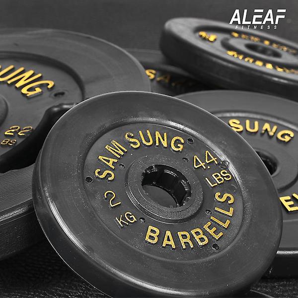  아리프 국산 다이나믹 블랙 경량 원판 10kg 2개 SET