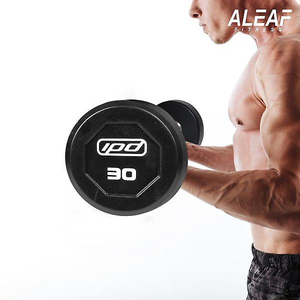  아리프 IPD 고정바벨 직선바/컬바 15kg 중량바 홈짐