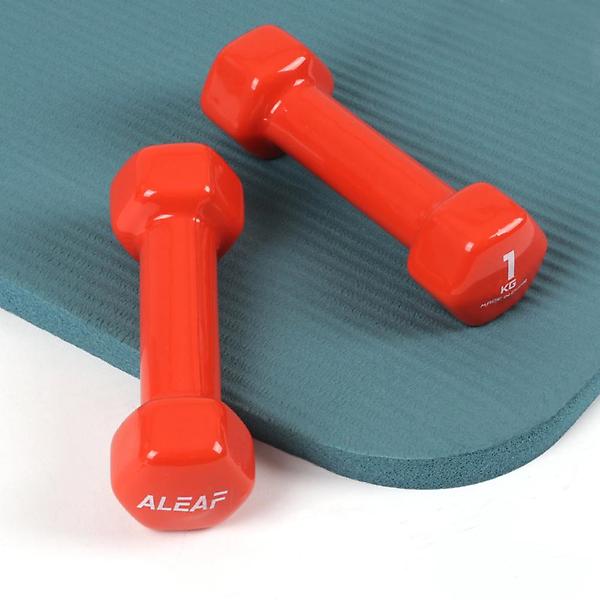  아리프 PVC컬러 미용아령 1kg 2개 SET 덤벨 헬스