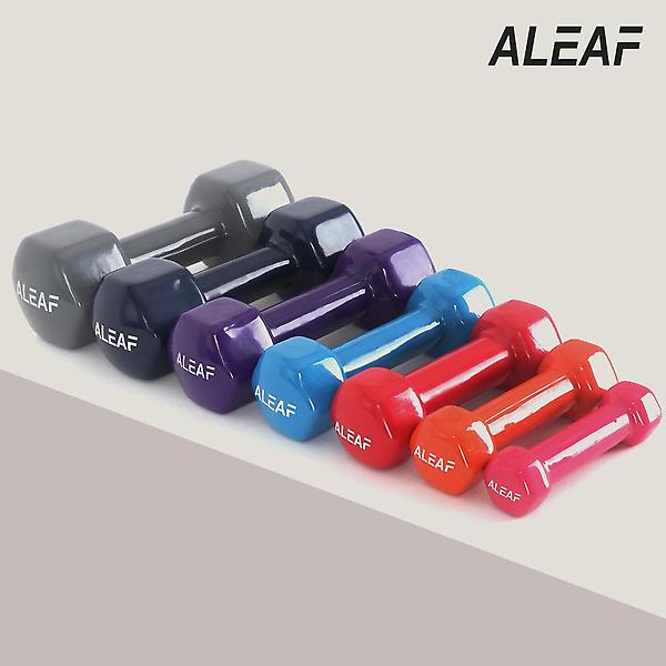  아리프 PVC컬러 미용아령 0.5kg 2개 SET 덤벨 헬스