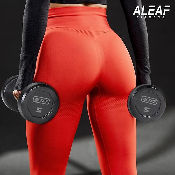  아리프 럭셔리 IPD 덤벨 40kg 아령 CPU신소재 헬스