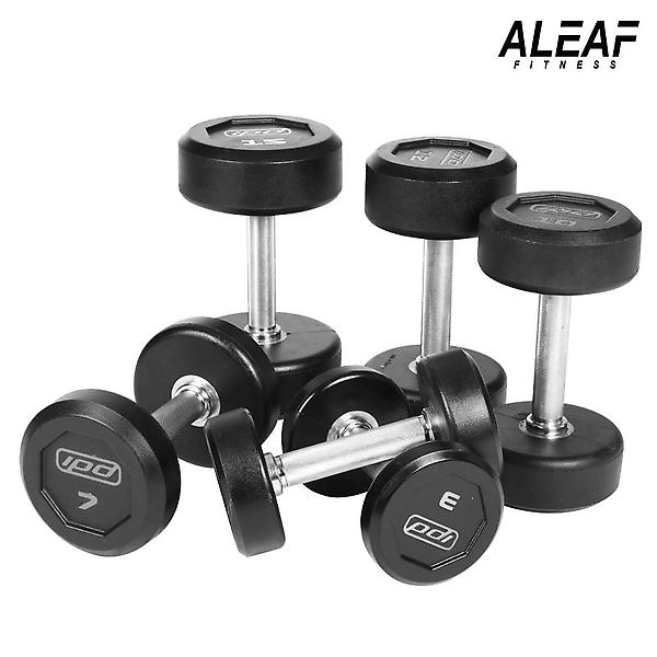  아리프 럭셔리 IPD 덤벨 21kg 아령 CPU신소재 헬스