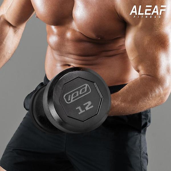  아리프 럭셔리 IPD 덤벨 20kg 아령 CPU신소재 헬스