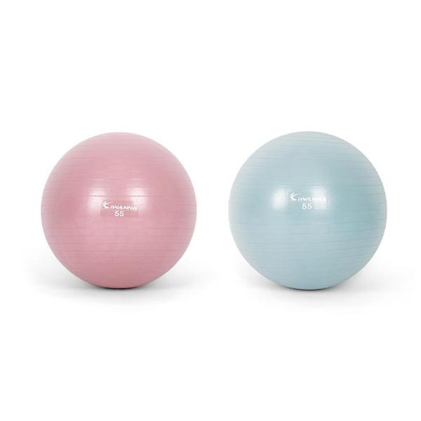  아이워너 고급형 안티버스트 짐볼 55cm 스트레칭 헬스