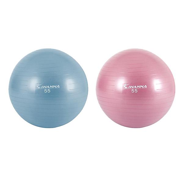  아이워너 고급형 안티버스트 짐볼 55cm 스트레칭 헬스