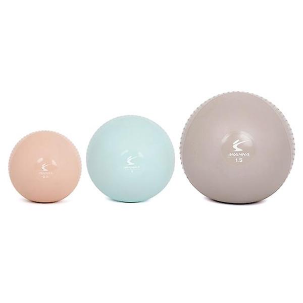  아이워너 소프트 토닝볼 1.5kg 2개입 웨이트볼