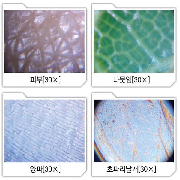  DIY 현미경 만들기