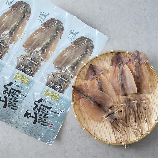  해살이 마른오징어 (5마리)