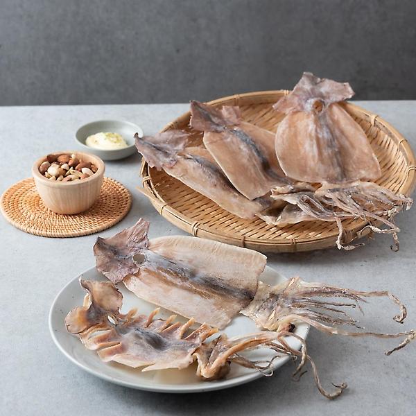  해살이 마른오징어 (5마리)