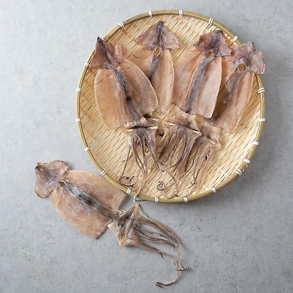  해살이 마른오징어 (5마리)