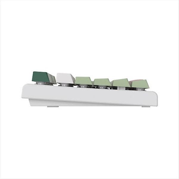  COX CMF104 8K 래피드 트리거 무접점 키보드 보타니컬 (45g)