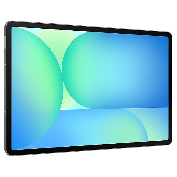  삼성전자 갤럭시탭 S10 FE 플러스 WIFI 12+256GB 그레이 SM-X620NZAEKOO