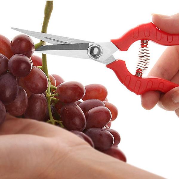  스텐 원예 전지가위/ 과수용 적과가위 꽃가위