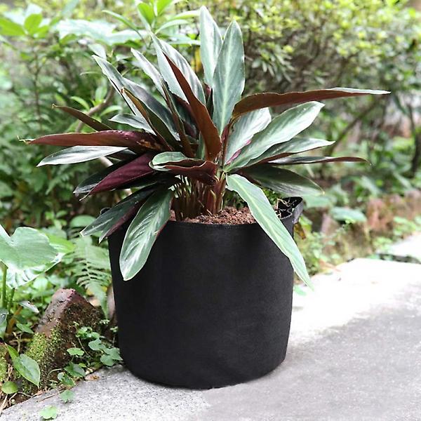  가드닝 부직포 화분 2p세트(30x25cm) 감자 상추화분