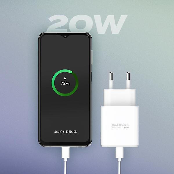  스마텍 20W GAN PD 2포트 C타입 멀티 고속 충전기 STPD-GD20
