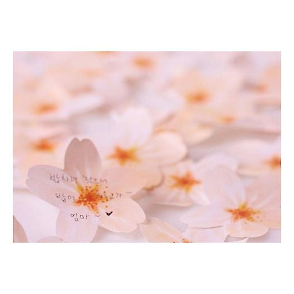  스티키메모지 벚꽃 Pink M 8P 점착식 메모잇 패드