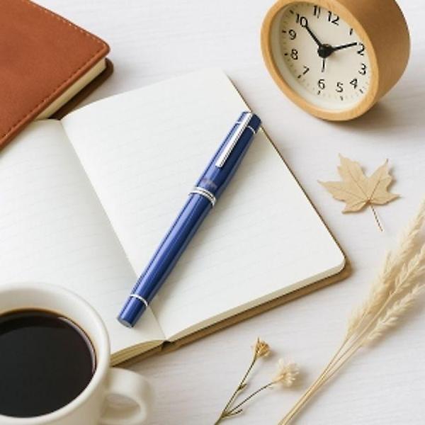  컬름602만년필컨버터캘리그라피손글씨펜블루