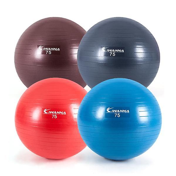  아이워너 고급형 안티버스트 짐볼 75cm 스트레칭 헬스
