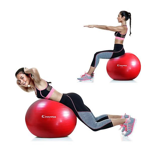 아이워너 고급형 안티버스트 짐볼 75cm 스트레칭 헬스