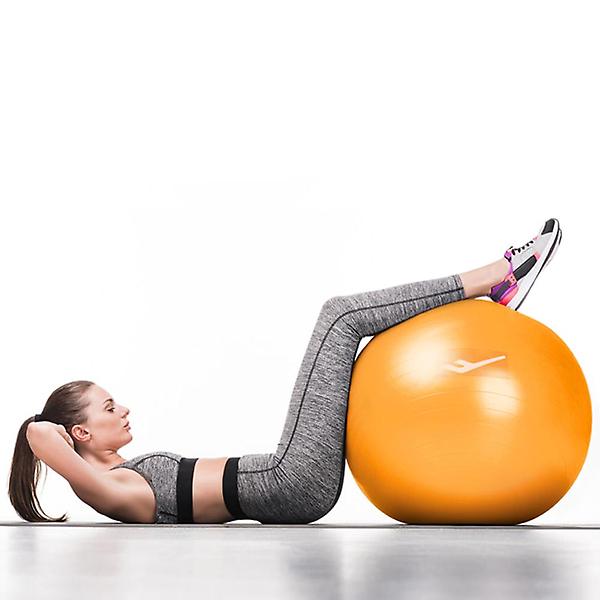  프로-스펙스 PVC 안티버스트 짐볼 65cm 스트레칭