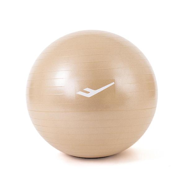  프로-스펙스 PVC 안티버스트 짐볼 65cm 스트레칭