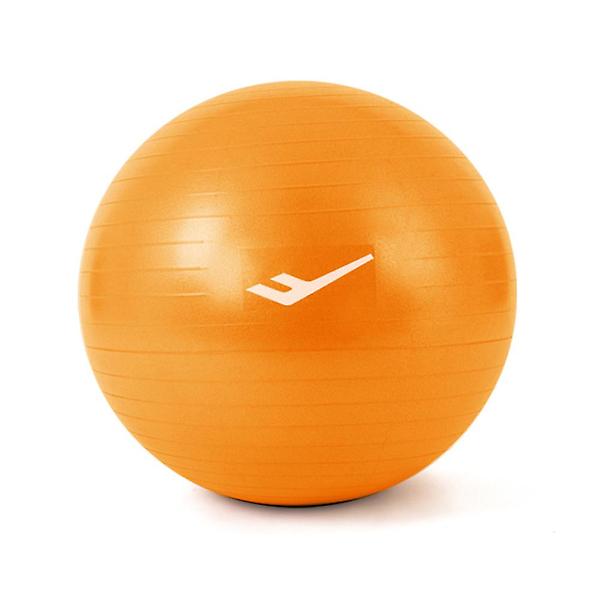  프로-스펙스 PVC 안티버스트 짐볼 65cm 스트레칭