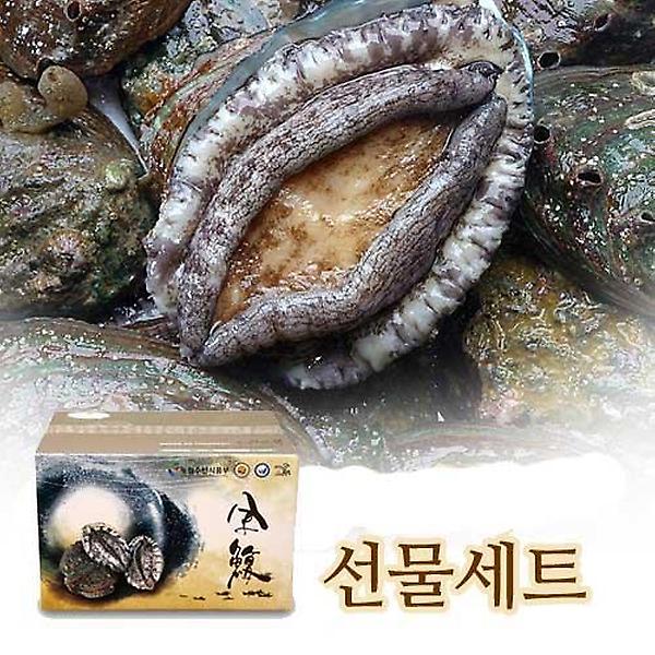  (E1215B)완도활전복 특선 V5호 (15미 1.27kg)