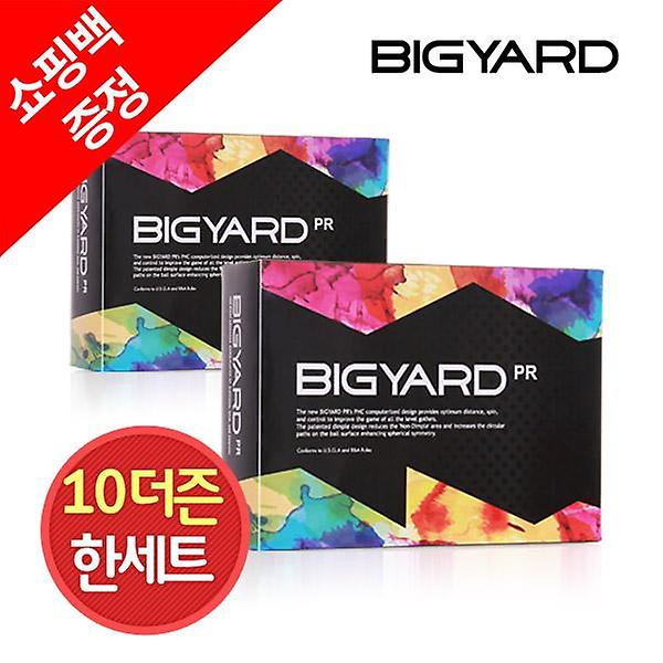  쇼핑백증정/10더즌 120구 빅야드 PR 4컬러 골프공