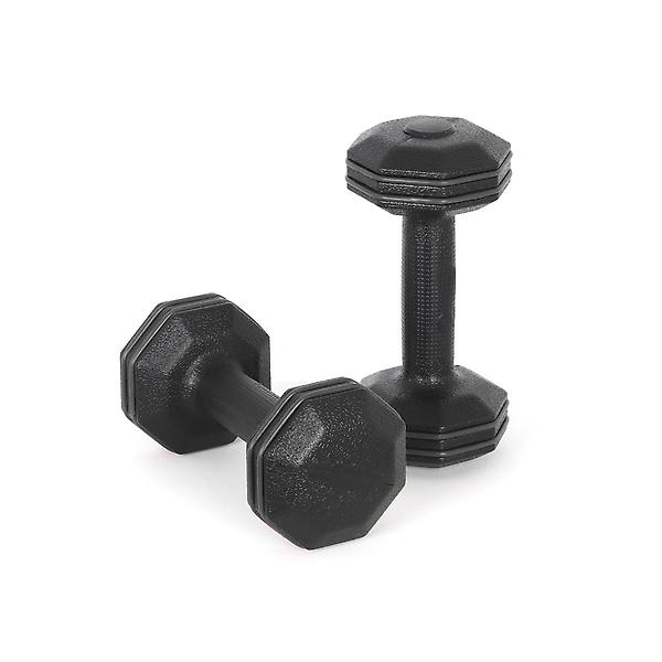  아리프 블랙라인 범퍼 옥타곤 덤벨 2kg 2개 세트