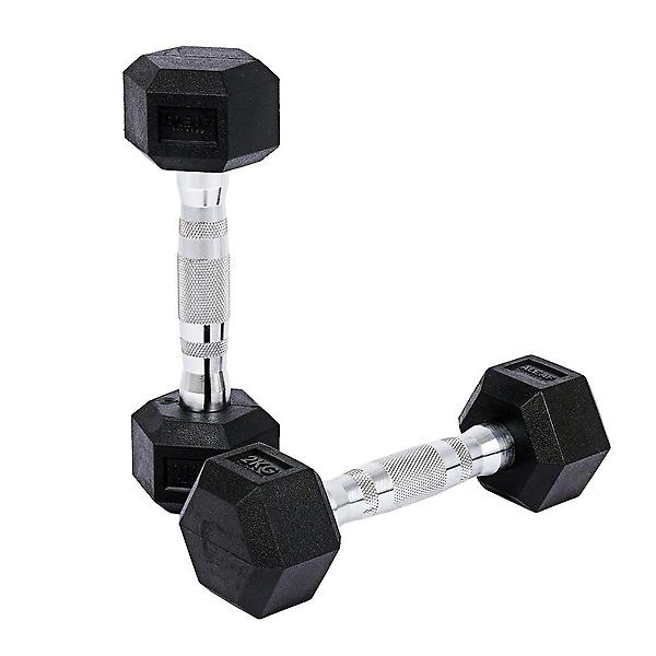  아리프 냄새없는 PEV 육각 덤벨 2kg 2개입 아령 홈트