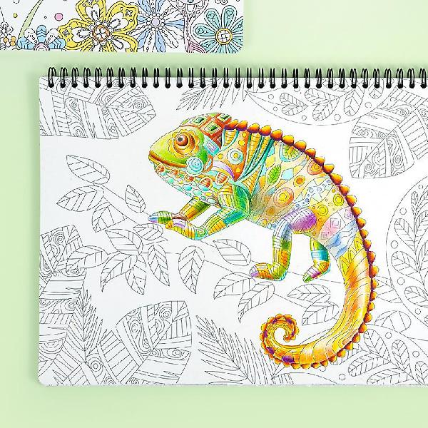  스프링 컬러드로잉-중급버전