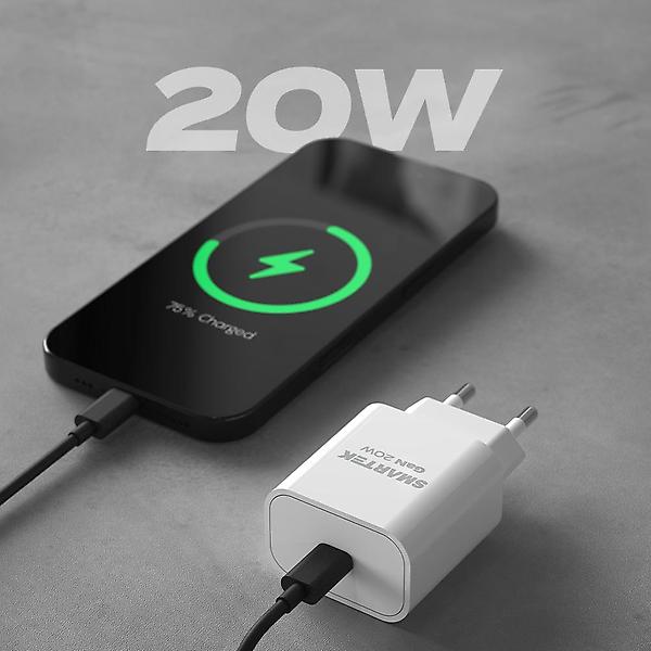  스마텍 20W GAN PD C타입 미니 고속 충전기 STQC-N20G