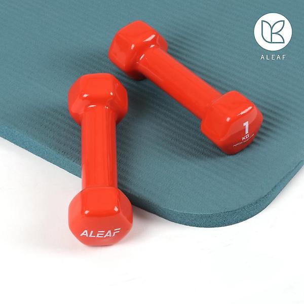  아리프 PVC컬러 미용아령 0.5kg 2개 SET 덤벨 헬스