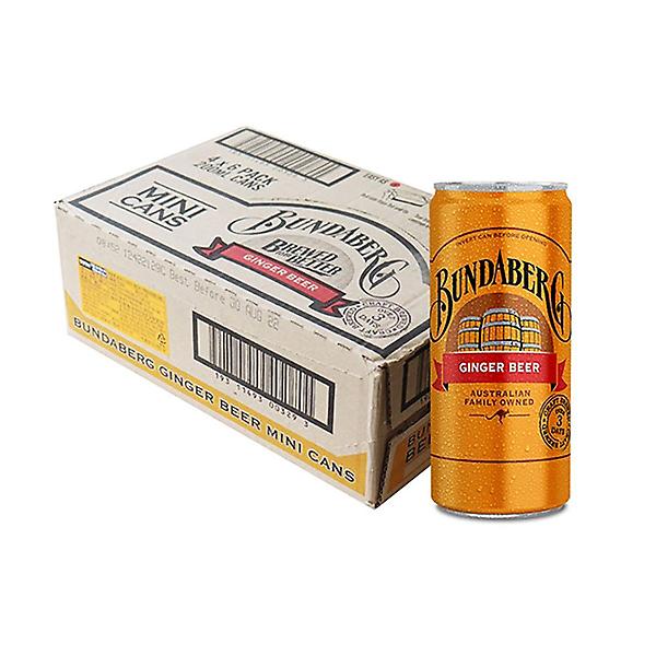  분다버그 탄산음료 진저비어 미니 200ml 캔 24개 1박스