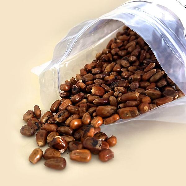  하루곳간 유기농 통알곡 볶은 옥수수차 500g 곡물차