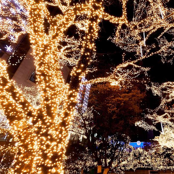  [도토로]태양광 50구 검정선 LED 웜색 전구 루프탑 야외장식