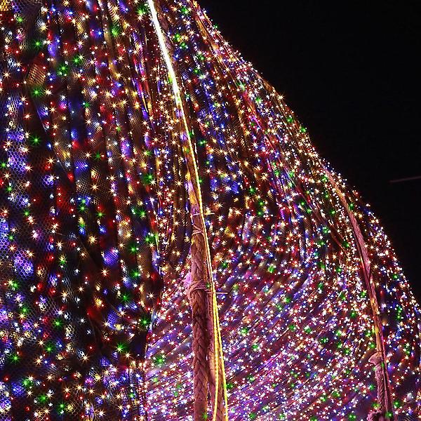  [은하수] 50구 투명선 LED 칼라 지니전구(5M) 전원잭