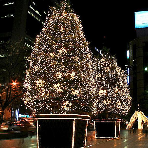  600구 트리전구(웜색)/크리스마스전구 츄리전구