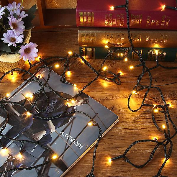  [은하수] 100구 녹색선 LED 웜색 지니전구(10M) (전원잭포함)