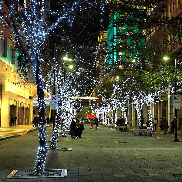  [은하수]50구 녹색선 LED 백색 지니전구(5M) (점멸有)