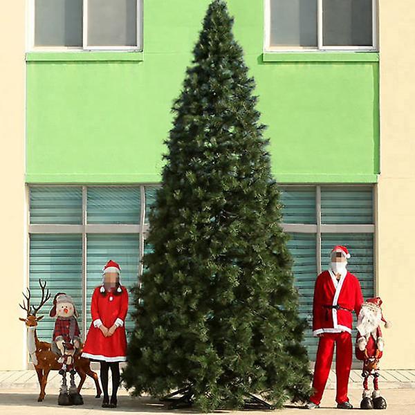  500cm  크리스마스트리 리얼 솔잎 초대형트리