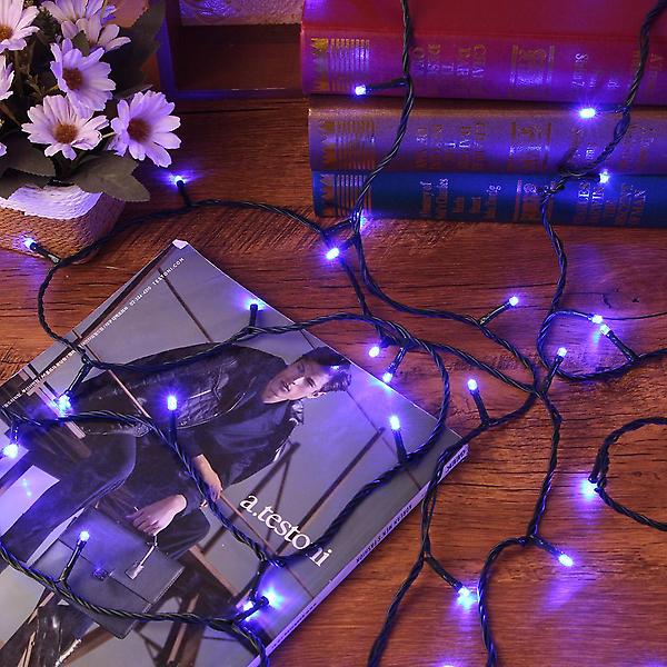  100구 녹색선 LED 전구/ 10M 남색 연결형 트리전구