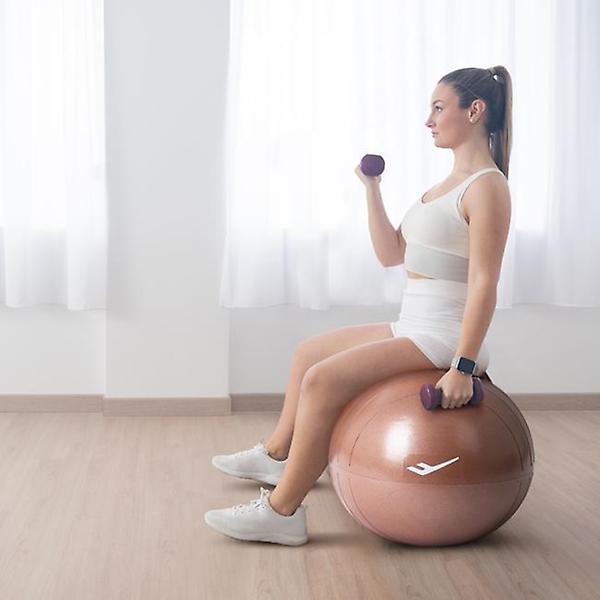  프로-스펙스 땅콩짐볼 필라테스 요가 헬스 임산부 선물