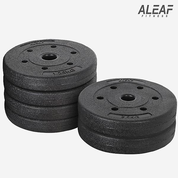  아리프 플렉스 원판 20kg 1개입 덤벨 홈짐 홈트