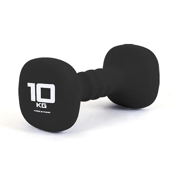  네오프렌 사각아령 10KG 근력운동 덤벨 헬스 바벨