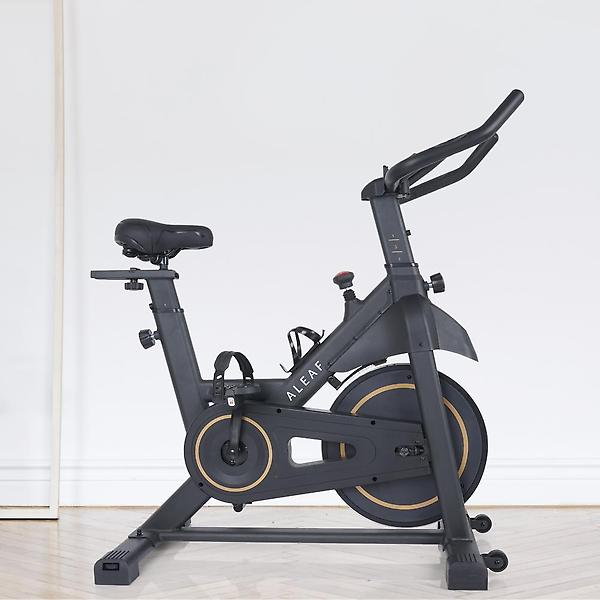  아리프 마그네틱 스피닝 바이크 무소음 실내 자전거